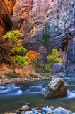 Fall-Colors-Zion-Narrows